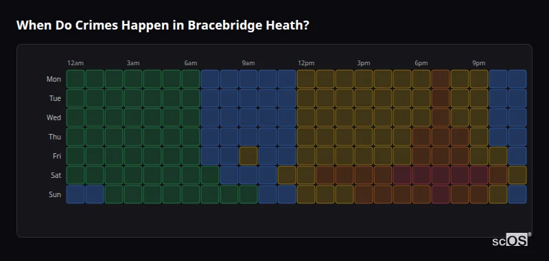 Crime time heatmap for Bracebridge Heath - showing when crimes are most likely to occur by day and hour