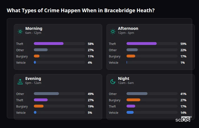 Crime types by time period for Bracebridge Heath - showing breakdown of burglary, violence, theft, and vehicle crime by morning, afternoon, evening, and night