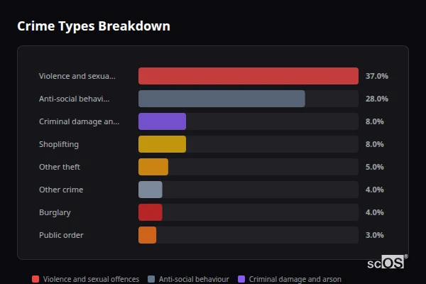 Crime Types Breakdown for Skellingthorpe - showing Violence and sexual offences (37%), Anti-social behaviour (28%), Criminal damage and arson (8%)