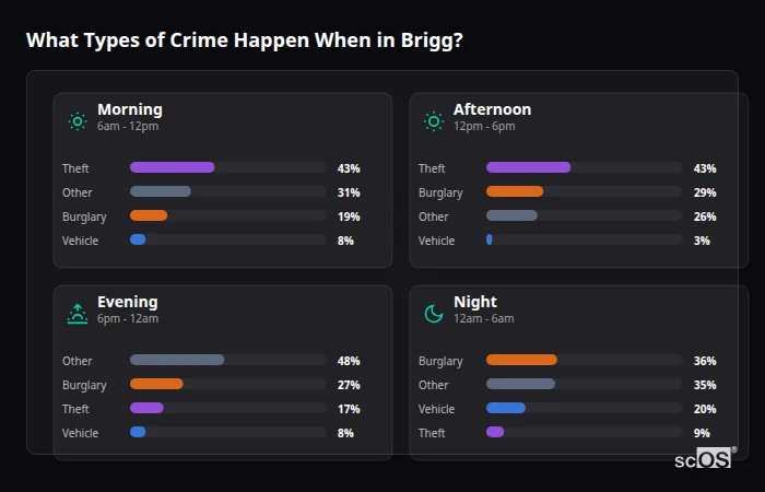 What Types of Crime Happen When in Brigg? Crime types by time period for Brigg - showing breakdown of burglary, violence, theft, and vehicle crime by morning, afternoon, evening, and night