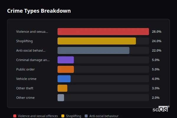 Crime Types Breakdown for Higham Ferrers - showing Violence and sexual offences (28%), Shoplifting (24%), Anti-social behaviour (22%)
