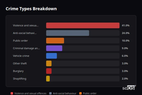 Crime Types Breakdown for Ansley - showing Violence and sexual offences (41%), Anti-social behaviour (24%), Public order (10%)