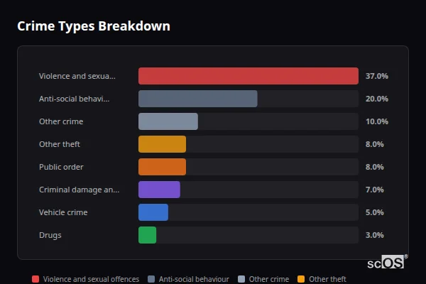 Crime Types Breakdown for Bellingham - showing Violence and sexual offences (37%), Anti-social behaviour (20%), Other crime (10%)