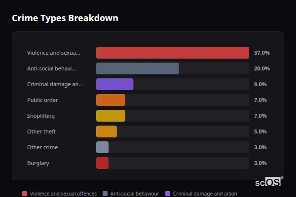 Crime Types Breakdown for Berwick-upon-Tweed - showing Violence and sexual offences (37%), Anti-social behaviour (20%), Criminal damage and arson (9%)