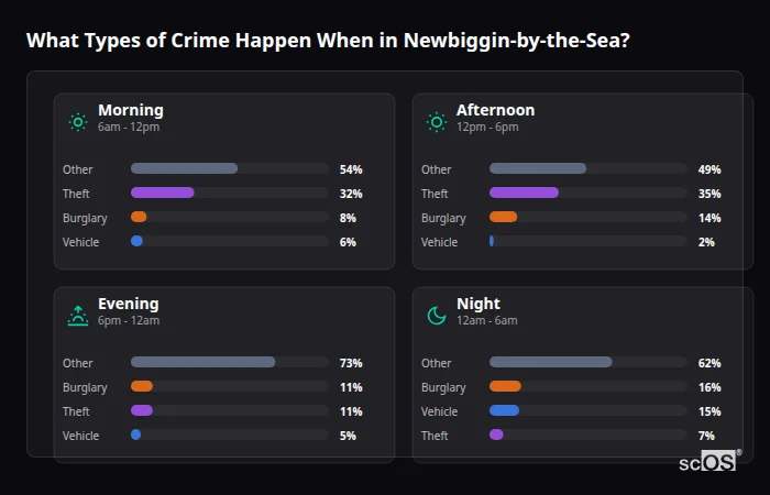 Crime types by time period for Newbiggin-by-the-Sea - showing breakdown of burglary, violence, theft, and vehicle crime by morning, afternoon, evening, and night
