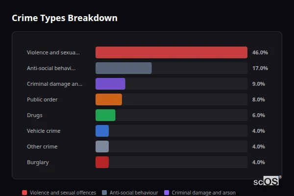 Crime Types Breakdown for Seghill - showing Violence and sexual offences (46%), Anti-social behaviour (17%), Criminal damage and arson (9%)