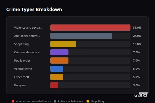 Crime Types Breakdown for Bedworth - showing Violence and sexual offences (31%), Anti-social behaviour (24%), Shoplifting (10%)