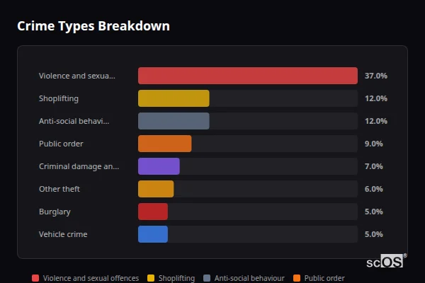 Crime Types Breakdown for Wigston - showing Violence and sexual offences (37%), Shoplifting (12%), Anti-social behaviour (12%)