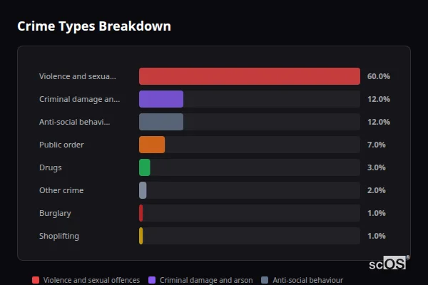 Crime Types Breakdown - Llanidloes Crime Types Breakdown for Llanidloes - showing Violence and sexual offences (60%), Criminal damage and arson (12%), Anti-social behaviour (12%)