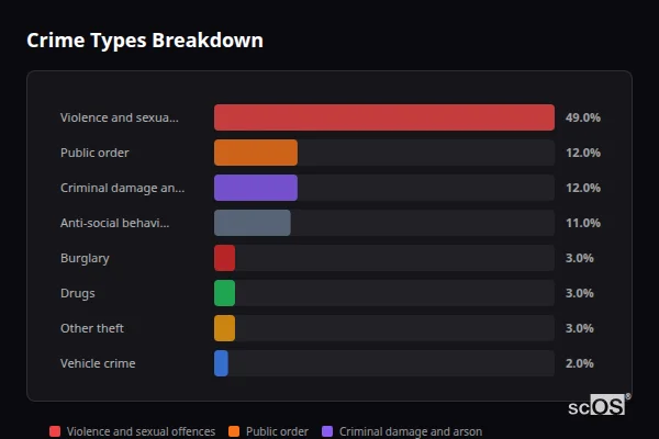 Crime Types Breakdown for Machynlleth - showing Violence and sexual offences (49%), Public order (12%), Criminal damage and arson (12%)