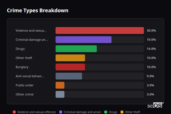 Crime Types Breakdown for Sennybridge - showing Violence and sexual offences (30%), Criminal damage and arson (19%), Drugs (14%)