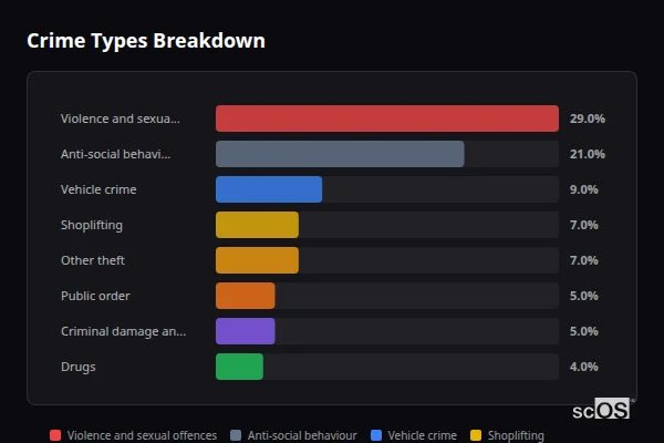 Crime Types Breakdown - Redbridge Crime Types Breakdown for Redbridge - showing Violence and sexual offences (29%), Anti-social behaviour (21%), Vehicle crime (9%)