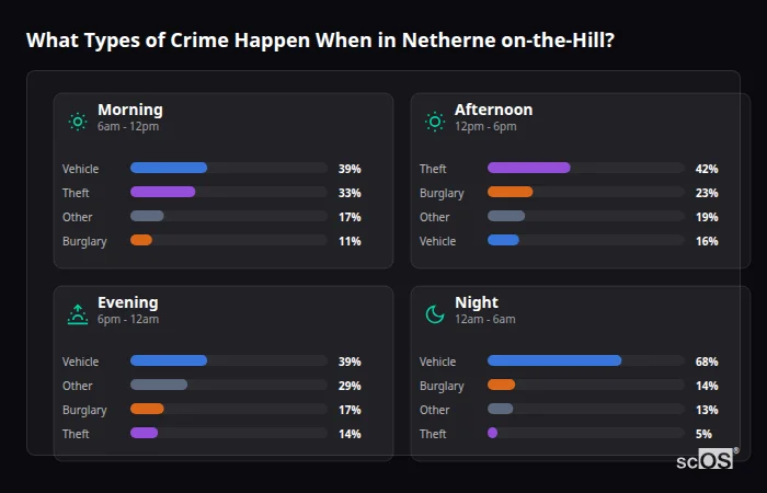 Crime types by time period for Netherne on-the-Hill - showing breakdown of burglary, violence, theft, and vehicle crime by morning, afternoon, evening, and night