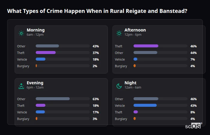 Crime types by time period for Rural Reigate and Banstead - showing breakdown of burglary, violence, theft, and vehicle crime by morning, afternoon, evening, and night