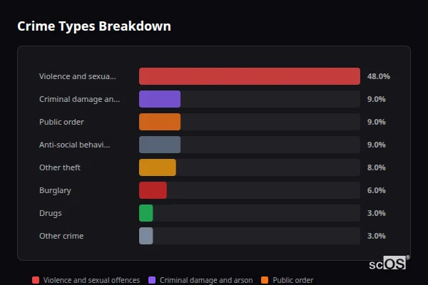 Crime Types Breakdown for Maerdy - showing Violence and sexual offences (48%), Criminal damage and arson (9%), Public order (9%)