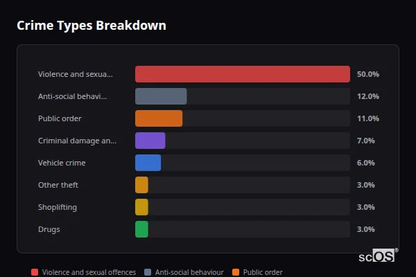 Crime Types Breakdown for Mountain Ash - showing Violence and sexual offences (50%), Anti-social behaviour (12%), Public order (11%)