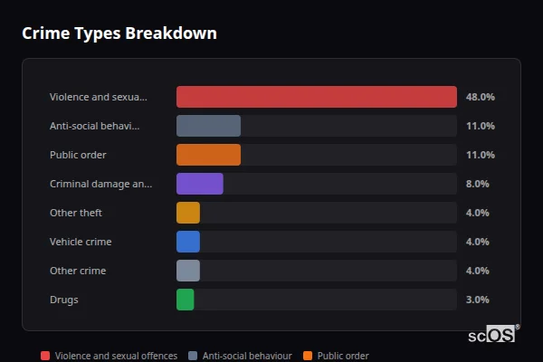 Crime Types Breakdown for Tonypandy - showing Violence and sexual offences (48%), Anti-social behaviour (11%), Public order (11%)