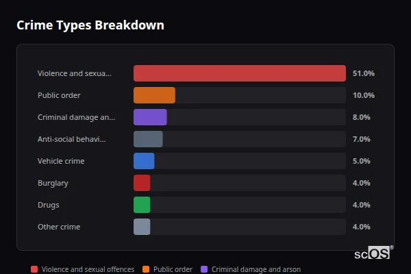 Crime Types Breakdown for Tylorstown and Pontygwaith - showing Violence and sexual offences (51%), Public order (10%), Criminal damage and arson (8%)