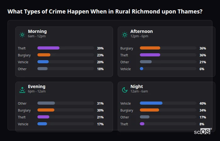 Crime types by time period for Rural Richmond upon Thames - showing breakdown of burglary, violence, theft, and vehicle crime by morning, afternoon, evening, and night