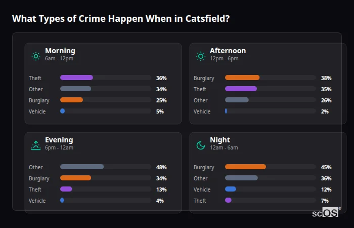Crime types by time period for Catsfield - showing breakdown of burglary, violence, theft, and vehicle crime by morning, afternoon, evening, and night