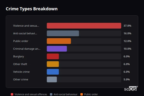 Crime Types Breakdown for Robertsbridge - showing Violence and sexual offences (37%), Anti-social behaviour (16%), Public order (12%)