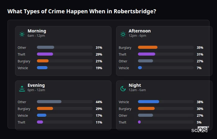 Crime types by time period for Robertsbridge - showing breakdown of burglary, violence, theft, and vehicle crime by morning, afternoon, evening, and night