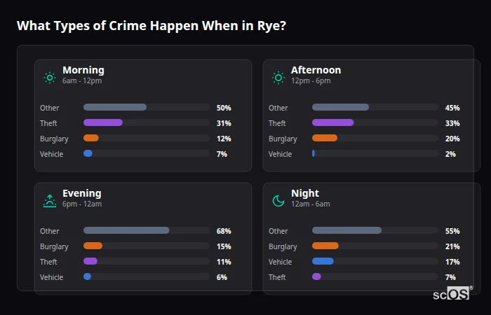 Crime types by time period for Rye - showing breakdown of burglary, violence, theft, and vehicle crime by morning, afternoon, evening, and night