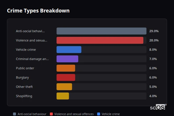 Crime Types Breakdown - Brinsworth Crime Types Breakdown for Brinsworth - showing Anti-social behaviour (29%), Violence and sexual offences (28%), Vehicle crime (8%)