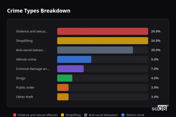 Crime Types Breakdown - Binley Woods Crime Types Breakdown for Binley Woods - showing Violence and sexual offences (24%), Shoplifting (24%), Anti-social behaviour (20%)