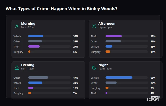 What Types of Crime Happen When in Binley Woods? Crime types by time period for Binley Woods - showing breakdown of burglary, violence, theft, and vehicle crime by morning, afternoon, evening, and night