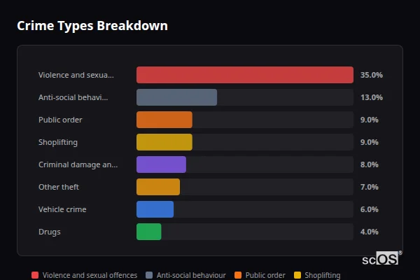 Crime Types Breakdown - Chertsey Crime Types Breakdown for Chertsey - showing Violence and sexual offences (35%), Anti-social behaviour (13%), Public order (9%)