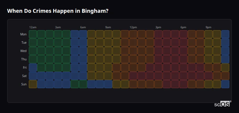 Crime time heatmap for Bingham - showing when crimes are most likely to occur by day and hour