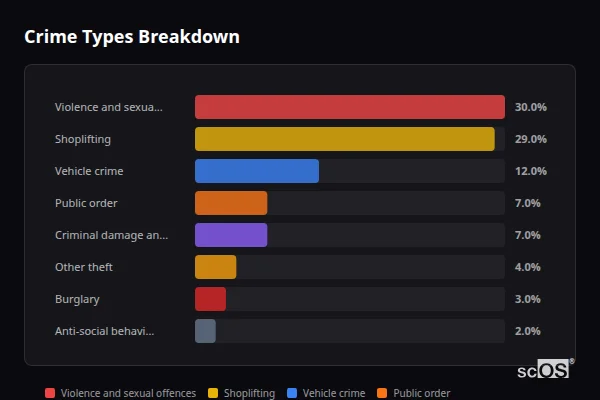 Crime Types Breakdown - Rural Sandwell Crime Types Breakdown for Rural Sandwell - showing Violence and sexual offences (30%), Shoplifting (29%), Vehicle crime (12%)