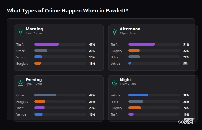 Crime types by time period for Pawlett - showing breakdown of burglary, violence, theft, and vehicle crime by morning, afternoon, evening, and night