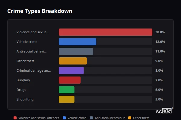 Crime Types Breakdown - Otford and Kemsing Crime Types Breakdown for Otford and Kemsing - showing Violence and sexual offences (30%), Vehicle crime (12%), Anti-social behaviour (11%)