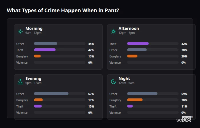 Crime types by time period for Pant - showing breakdown of burglary, violence, theft, and vehicle crime by morning, afternoon, evening, and night