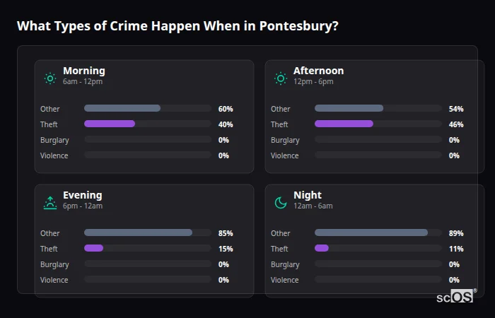 Crime types by time period for Pontesbury - showing breakdown of burglary, violence, theft, and vehicle crime by morning, afternoon, evening, and night
