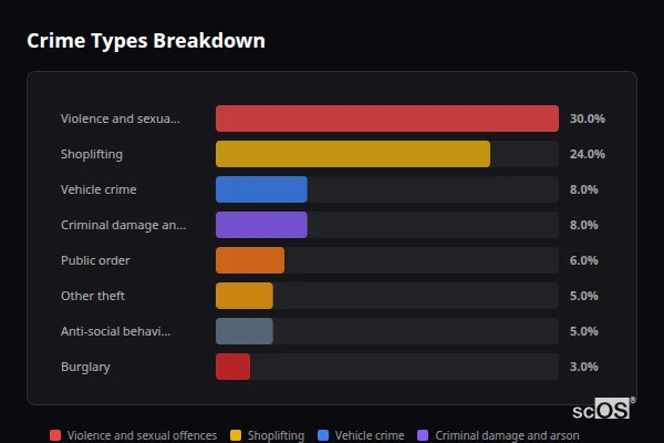Crime Types Breakdown for Rural Slough - showing Violence and sexual offences (30%), Shoplifting (24%), Vehicle crime (8%)