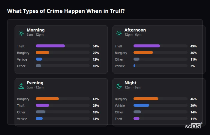 What Types of Crime Happen When in Trull? Crime types by time period for Trull - showing breakdown of burglary, violence, theft, and vehicle crime by morning, afternoon, evening, and night