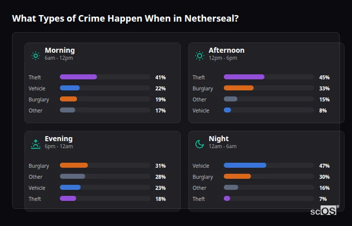 Crime types by time period for Netherseal - showing breakdown of burglary, violence, theft, and vehicle crime by morning, afternoon, evening, and night