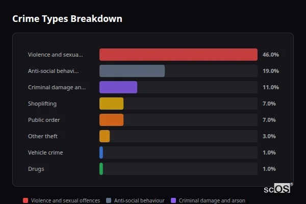 Crime Types Breakdown for Holbeach - showing Violence and sexual offences (46%), Anti-social behaviour (19%), Criminal damage and arson (11%)