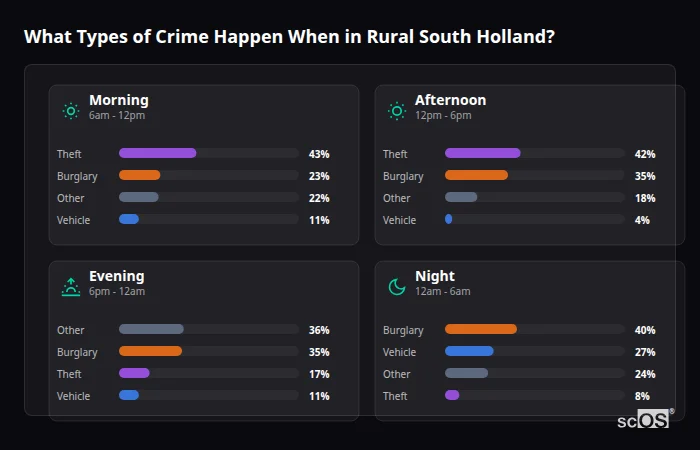 Crime types by time period for Rural South Holland - showing breakdown of burglary, violence, theft, and vehicle crime by morning, afternoon, evening, and night