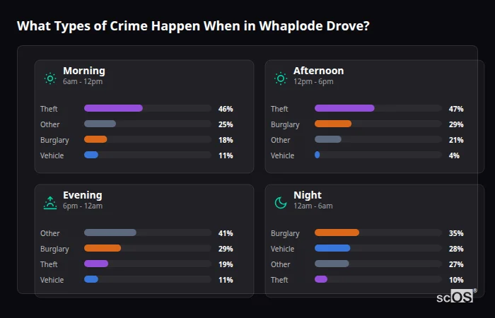 Crime types by time period for Whaplode Drove - showing breakdown of burglary, violence, theft, and vehicle crime by morning, afternoon, evening, and night