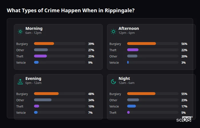 What Types of Crime Happen When in Rippingale? Crime types by time period for Rippingale - showing breakdown of burglary, violence, theft, and vehicle crime by morning, afternoon, evening, and night