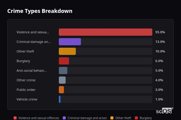 Crime Types Breakdown for Coniston - showing Violence and sexual offences (55%), Criminal damage and arson (13%), Other theft (10%)
