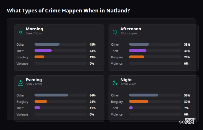 Crime types by time period for Natland - showing breakdown of burglary, violence, theft, and vehicle crime by morning, afternoon, evening, and night