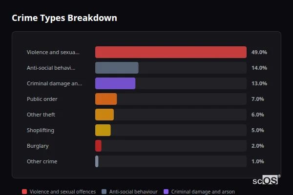 Crime Types Breakdown - Loddon Crime Types Breakdown for Loddon - showing Violence and sexual offences (49%), Anti-social behaviour (14%), Criminal damage and arson (13%)