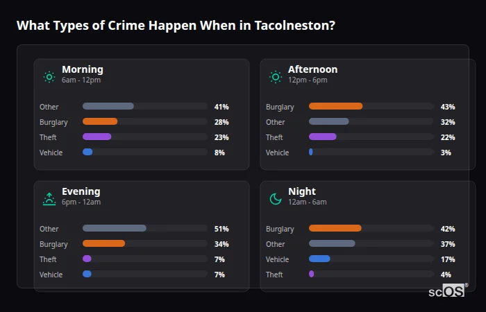 What Types of Crime Happen When in Tacolneston? Crime types by time period for Tacolneston - showing breakdown of burglary, violence, theft, and vehicle crime by morning, afternoon, evening, and night