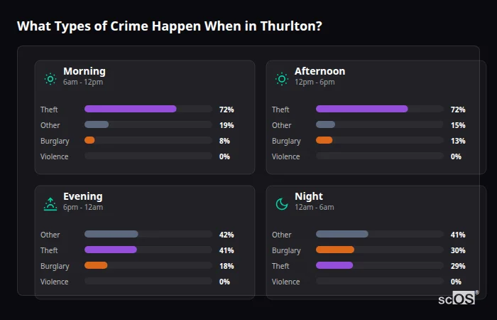 Crime types by time period for Thurlton - showing breakdown of burglary, violence, theft, and vehicle crime by morning, afternoon, evening, and night