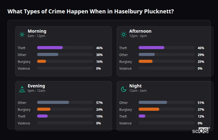 What Types of Crime Happen When in Haselbury Plucknett? Crime types by time period for Haselbury Plucknett - showing breakdown of burglary, violence, theft, and vehicle crime by morning, afternoon, evening, and night